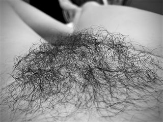 Photo by MadsMunro with the username @MadsMunro, who is a verified user,  August 22, 2024 at 7:19 PM. The post is about the topic hairy pussy and the text says 'Throwback to my epic bush...Should I let it grow back??

If you desire more of me, follow me here 
👉🏻 https://fans.ly/madsmunro

#bush #pussy'