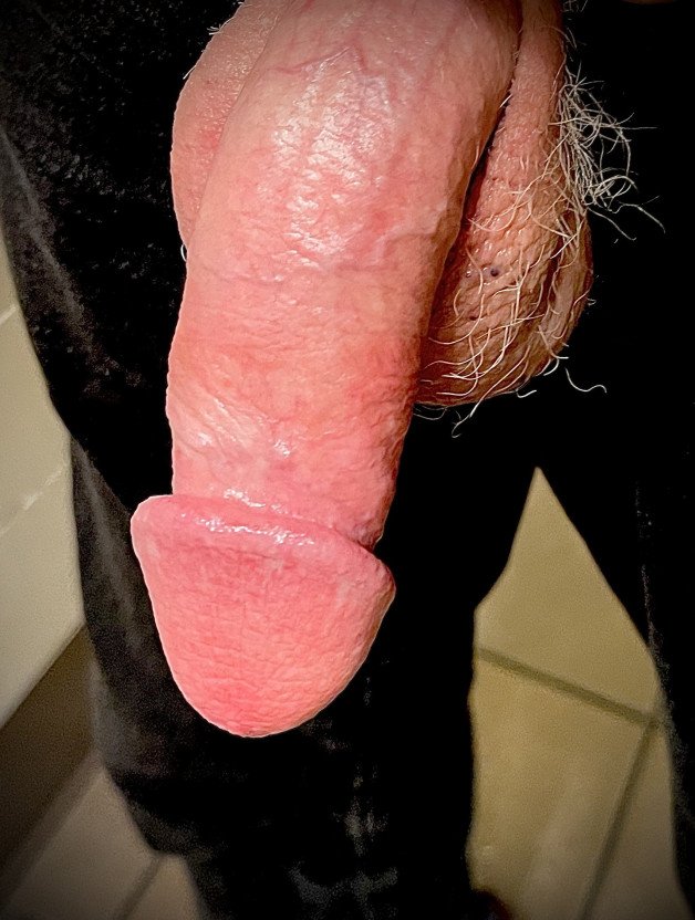 Photo by Kontol2 with the username @Kontol2, who is a verified user,  October 24, 2024 at 10:06 PM. The post is about the topic Nice shaved cocks and the text says '#shaved #cock #hairy #balls'