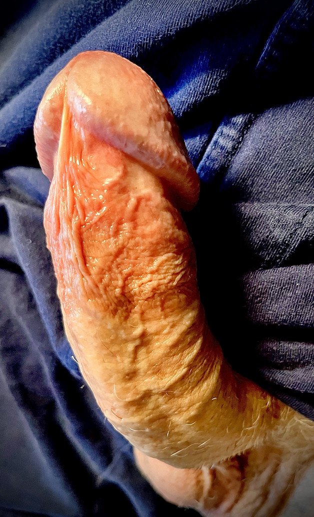 Album by Kontol2 with the username @Kontol2, who is a verified user,  August 25, 2024 at 3:45 AM. The post is about the topic Cocks Up-Close and Personal and the text says 'My #cock ready for his bedtime bellyrub 😎
#kontolku'