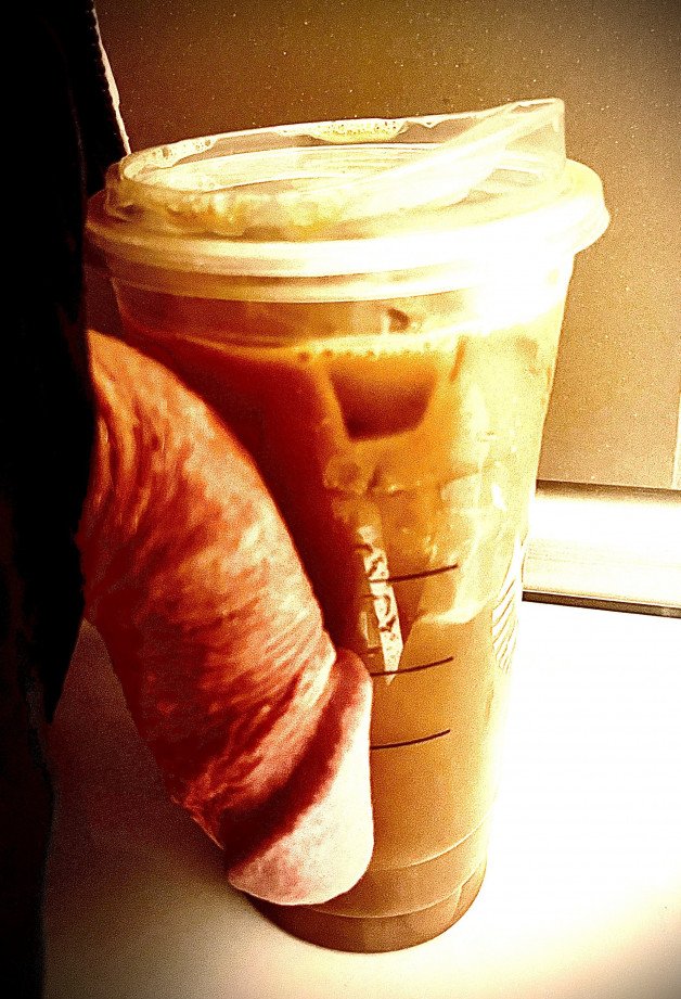 Photo by Kontol2 with the username @Kontol2, who is a verified user,  October 25, 2024 at 9:01 PM. The post is about the topic Cock 'n' Coffee and the text says 'My #horny #cock needed a 24 ounce iced coffee to keep my #bulge from being too obvious'