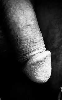 Photo by Kontol2 with the username @Kontol2, who is a verified user,  December 10, 2024 at 9:44 PM. The post is about the topic Black and White Erotica and the text says 'Classy #phallus portrait'