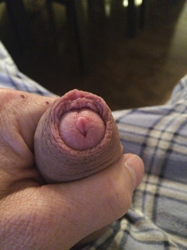 Photo by Uncut71 with the username @Uncut71, who is a verified user,  August 26, 2024 at 10:16 AM. The post is about the topic Foreskins