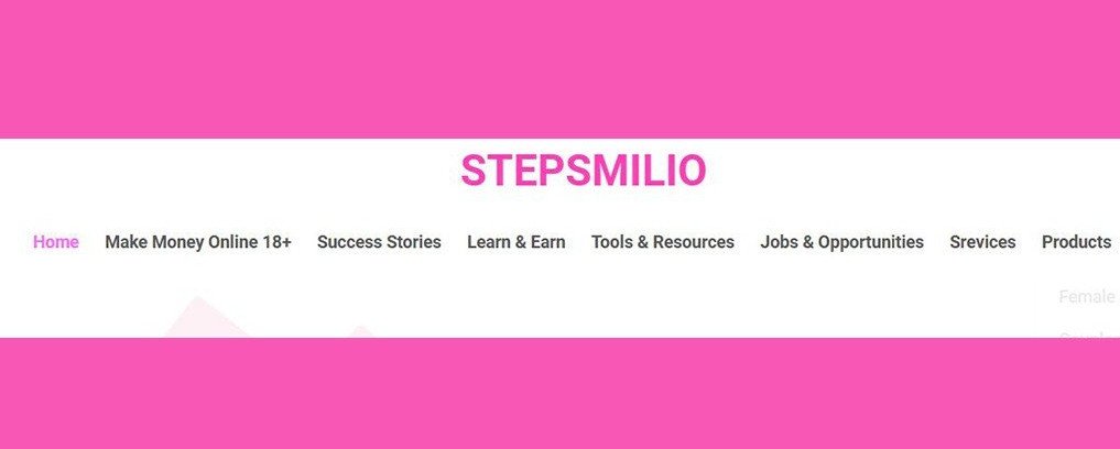 Cover photo of Stepsmilio.com