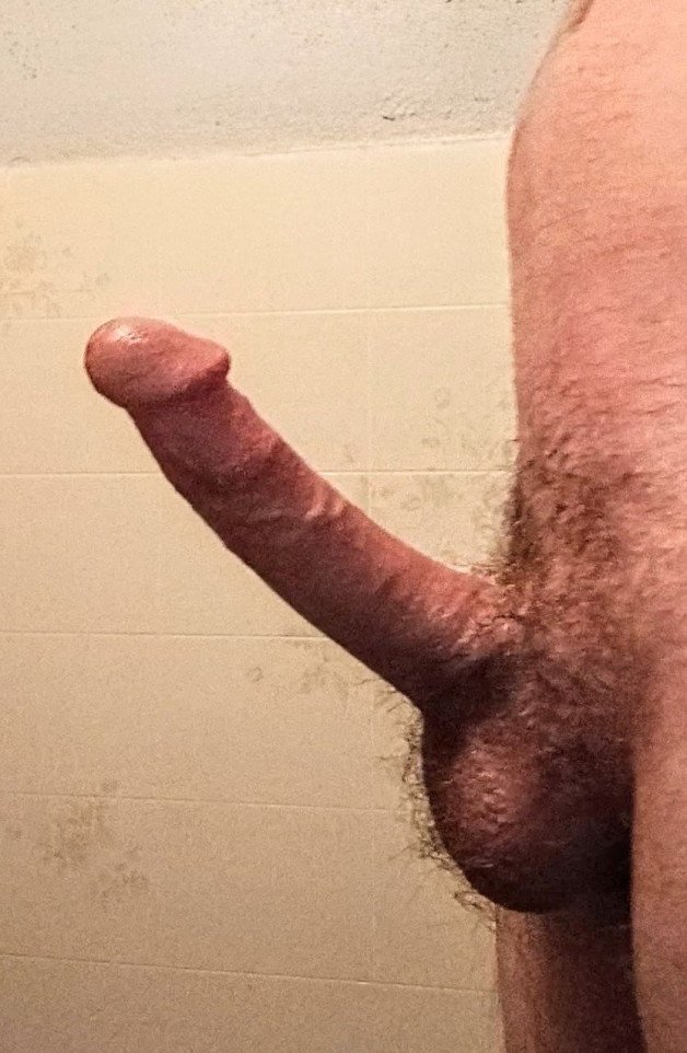 Photo by Newrc73 with the username @Newrc73, who is a verified user,  November 5, 2024 at 5:38 PM. The post is about the topic Rate my pussy or dick and the text says 'getting cold out,letting the winter coat grow'