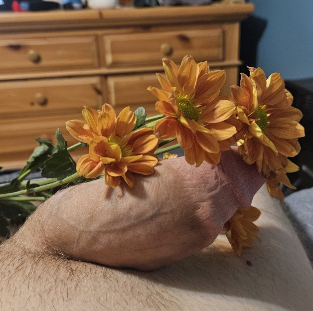 Photo by TheGermanDog17 with the username @user1727821576, who is a verified user,  October 2, 2024 at 10:55 PM and the text says 'Aren&#039;t they beautiful❤️💐🌹'