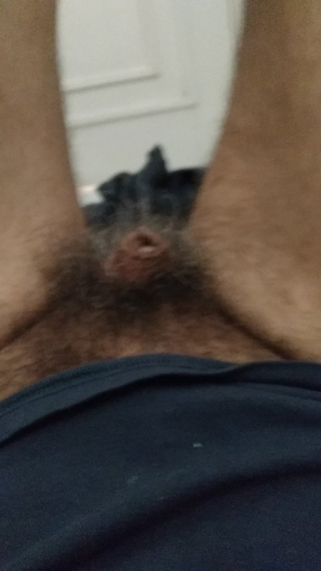 Photo by 1Eros99us with the username @1Eros99us, who is a verified user,  October 22, 2024 at 3:39 PM and the text says 'just relaxing visualizing my pubic hair..sensing the aromas'