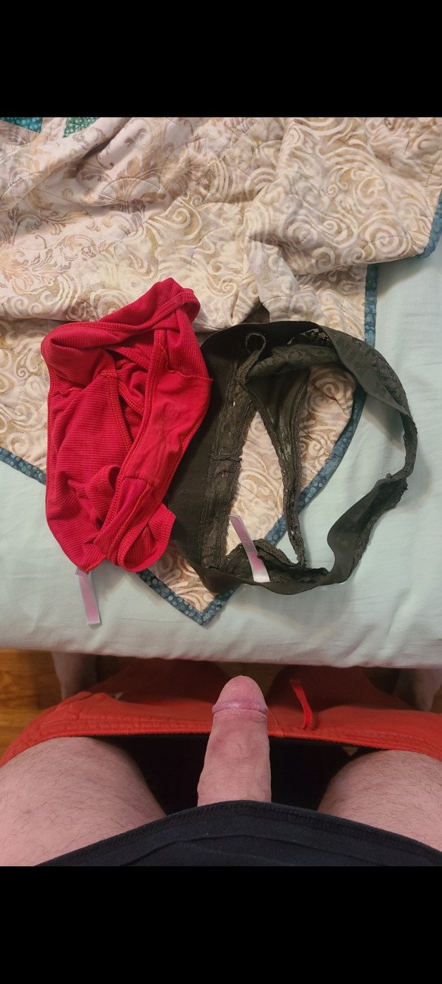 Photo by Curioushubby with the username @Curioushubby, who is a verified user,  December 5, 2024 at 7:42 PM and the text says 'I love dirty panties. My wife's green thong on the right, and her bff's red bikini style on the left. Their pussies smell so different but delish!'