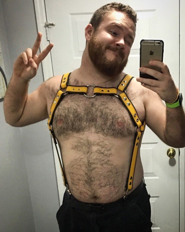 Watch the Photo by ForeForFore with the username @ForeForFore, posted on January 31, 2016 and the text says 'putanursaringonit:

phurlz:

Basically Chris Pratt in a harness. ✌️

But way cuter!'