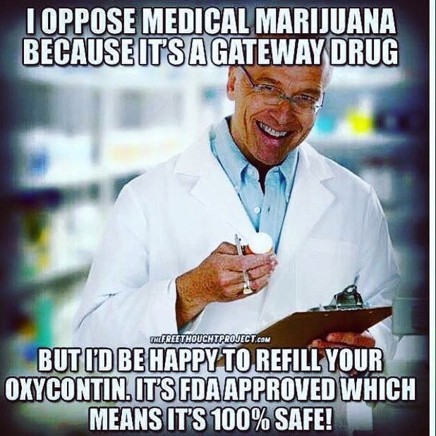 Photo by Deetz Mac Innes with the username @Deetz,  November 27, 2016 at 3:23 AM and the text says 'funnyinterestingandweirdfacts:#drsbelike #wtf #wtffacts #wtfisthis #crazy #420 #420meme #420daily #howisthislegal #forreal #marijuana #marijuanaheals #ainthurtingnobody #selfmedicated #legalizeit #legalize #truth #truthbetold #drugs #oxycotin #yourdumb..'