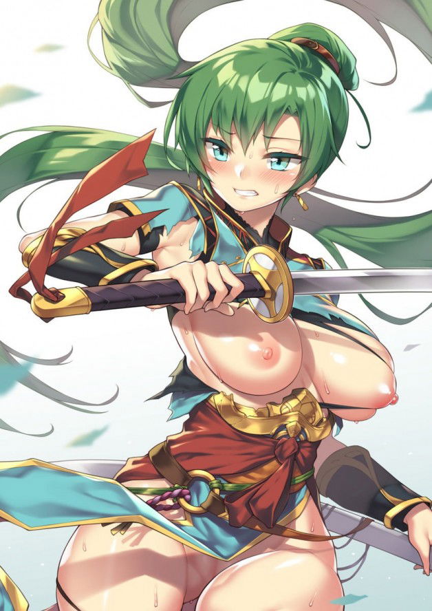 Photo by Nerderer23 with the username @Nerderer23,  January 7, 2018 at 12:44 PM and the text says 'hentaifreaklover-reborn:
Lyn [Fire Emblem]'