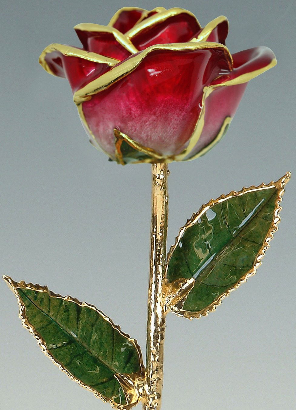 Photo by Nerderer23 with the username @Nerderer23,  October 17, 2018 at 2:19 PM and the text says 'sosuperawesome:

Real Preserved Roses Trimmed with Gold / Dipped in Gold

Living Gold Co on Etsy

See our #Etsy or #Rose tags'