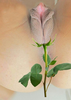 Shared Photo by LeBiDuL with the username @LeBiDuL,  December 10, 2024 at 3:04 PM. The post is about the topic pussy erotica and the text says 'Take time to smell the #pussy ? 😇'