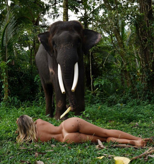 Photo by XXXTumblr with the username @XXXTumblr,  July 18, 2018 at 5:49 PM and the text says 'kissmyex:Let me tell you about a girl….who wished that everyone could see and feel what she did when she looked at you….Elephants demonstrate what we consider the finest human traits: empathy, self-awareness, and social intelligence….however how some of..'