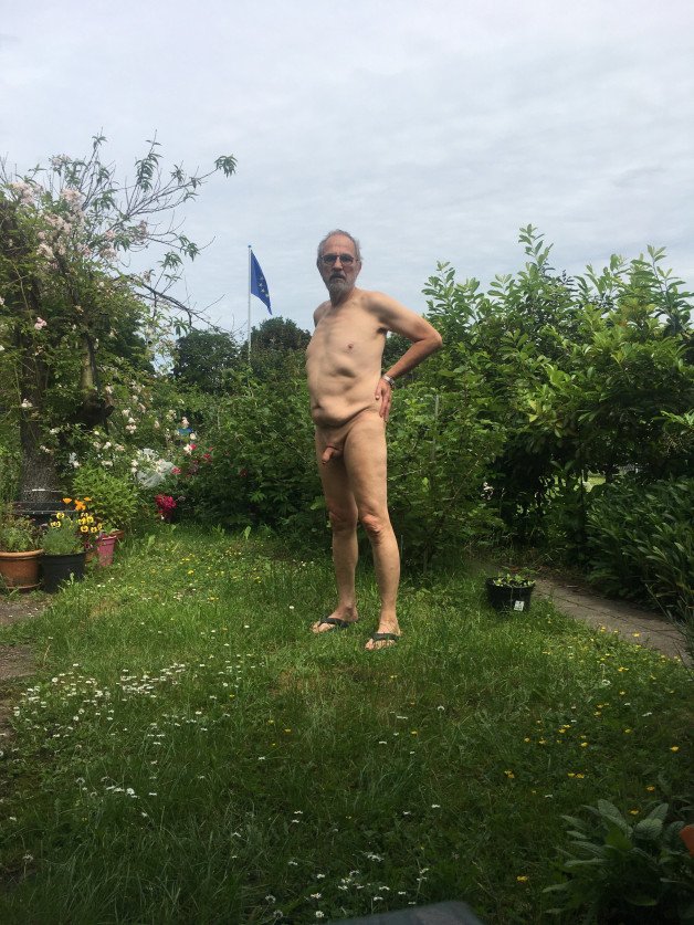 Photo by sneax6969 with the username @sneax6969, who is a verified user,  May 26, 2024 at 10:10 AM and the text says 'geht wählen. Go and vote. The flag!'