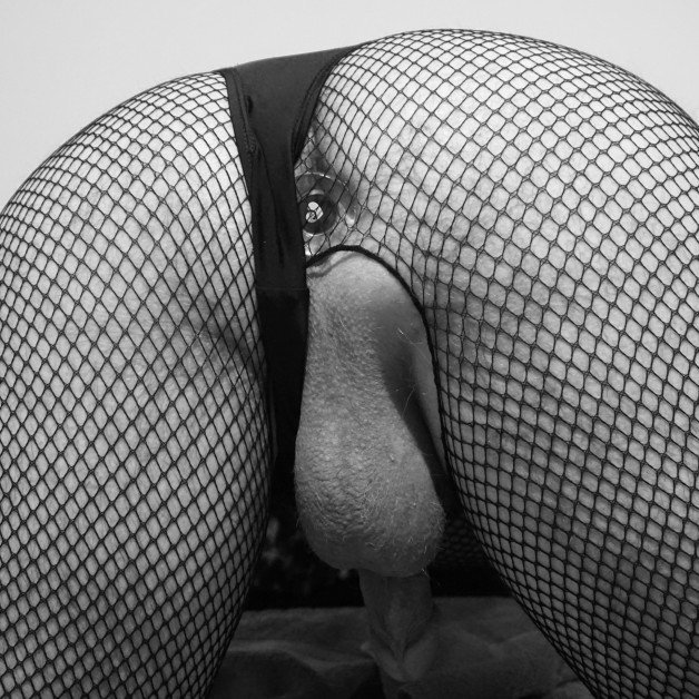 Photo by Spike50Kinky with the username @Spike50Kinky, who is a verified user,  June 12, 2021 at 7:29 AM and the text says 'Here's the buttplug

#bodysuit #fishnet #fishnetbodystocking #thong #buttplug #me'