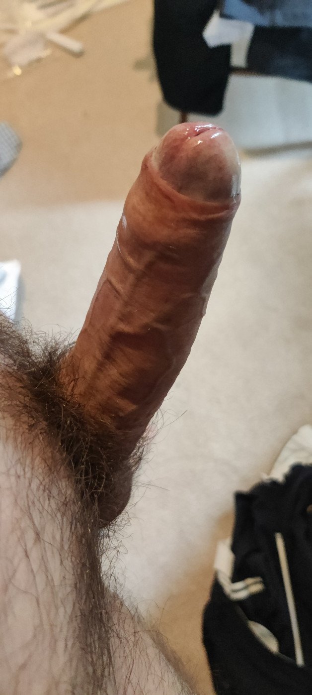 Album by Mrwibble1 with the username @Mrwibble1, who is a verified user,  August 15, 2024 at 7:10 AM and the text says 'currently playing with myself for @userid846151 as a belated birthday present. looking forward to cumming for her soon'