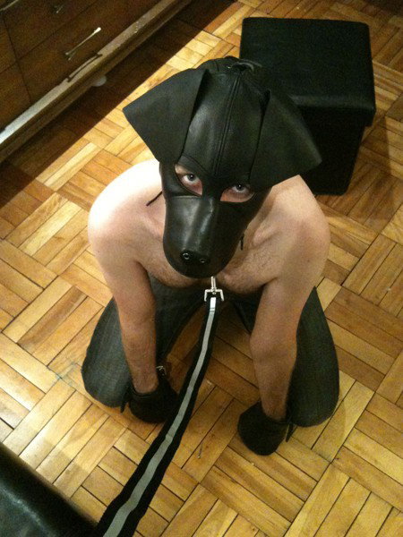 Photo by pup4play with the username @pup4play, who is a verified user,  February 16, 2012 at 7:03 AM and the text says '#gregnaked'