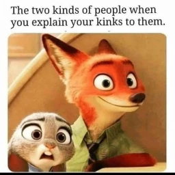 Shared Photo by Riley Morgan with the username @MyObsessiveOutlet,  April 9, 2024 at 1:20 AM and the text says 'Anyone else the fox and the person explaining the kinks in this situation 🤣?'
