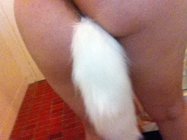 Photo by alierotic2 with the username @alierotic2,  January 25, 2016 at 8:18 AM and the text says '2015 Size S Sexy Charming White Fox Cat Tail Anal Plug Prostate Massager Butt Plug Anal Sex Toy For Sex Adult Games
Buyer: Chelsea A.
Via: http://www.aliexpress.com/item//32391370427.html #size  #s  #sexy  #charming  #white  #fox  #cat  #tail  #anal..'