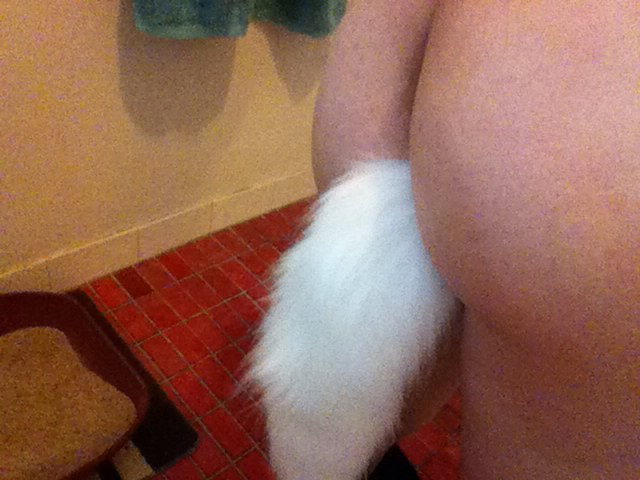 Photo by alierotic2 with the username @alierotic2,  January 25, 2016 at 8:18 AM and the text says '2015 Size S Sexy Charming White Fox Cat Tail Anal Plug Prostate Massager Butt Plug Anal Sex Toy For Sex Adult Games
Buyer: Chelsea A.
Via: http://www.aliexpress.com/item//32391370427.html #size  #s  #sexy  #charming  #white  #fox  #cat  #tail  #anal..'