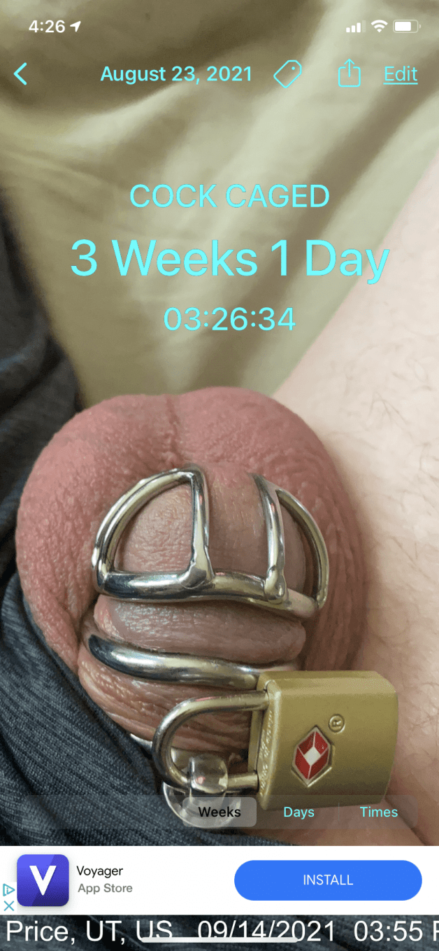 Photo by kinkycukcpl4fwbs with the username @kinkycukcpl4fwbs, who is a verified user,  September 15, 2021 at 7:08 AM. The post is about the topic Male Chastity slave and the text says 'going to be fun seeing where this goes'