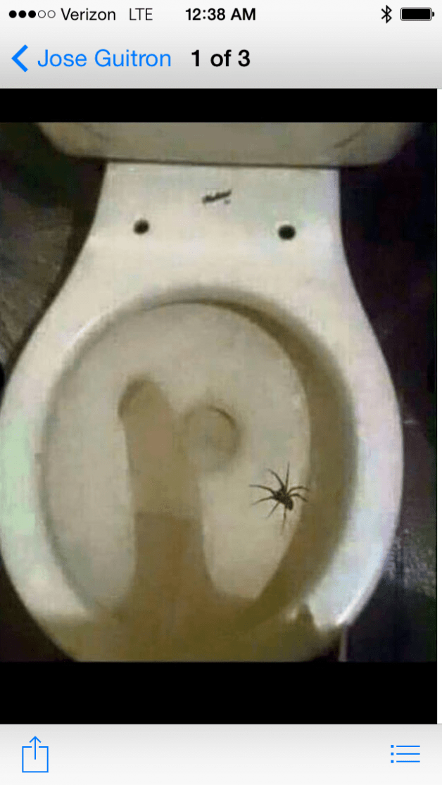 Photo by Couple4fun66 with the username @Couple4fun66,  January 29, 2021 at 7:31 PM. The post is about the topic Dick and the text says 'Check out the size of that spyder. Gave  me a scare this morning..'