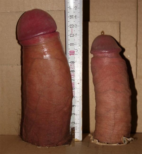 Photo by Venn with the username @venn-diagramm,  June 8, 2024 at 4:06 PM. The post is about the topic Matters of Size and the text says 'Length: Flaccid: 12 cm (4.7 in). Erect: 15 cm (5.9 in). Uncircumcised.  

nT_itca4t753z83755qb8ngtc5q'