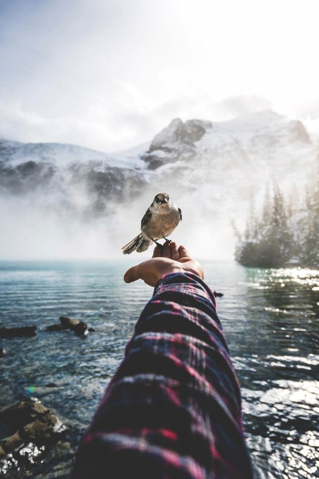 Photo by GoMakeIt with the username @GoMakeIt,  September 27, 2018 at 10:53 PM and the text says 'lsleofskye:Joffres Lake Provincial Park | braybraywoowoo'