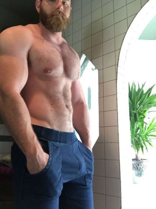 Photo by GoMakeIt with the username @GoMakeIt,  October 8, 2018 at 10:36 AM and the text says 'musclebearfkr:

sexy AF

Agreed'