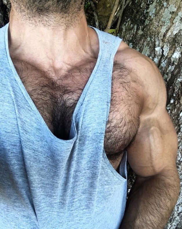 Photo by GoMakeIt with the username @GoMakeIt,  September 14, 2018 at 3:28 AM and the text says 'daddycubbytiger:
Pound those pecs, work those nips #musclebear  #hairy  #chest  #muscle'