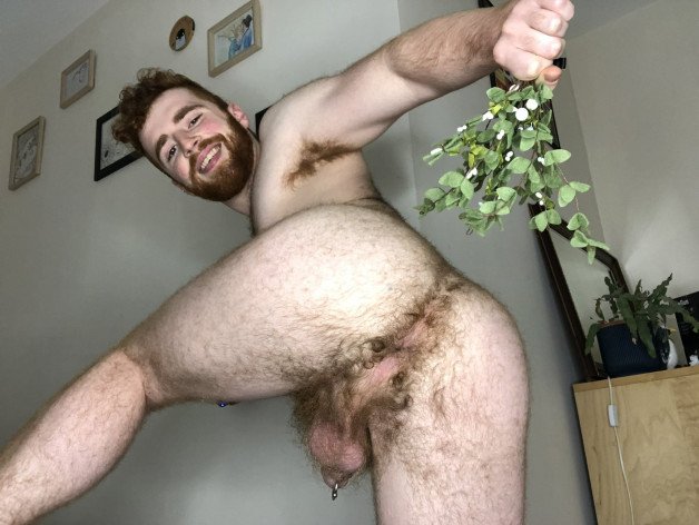 Photo by Nickplus33 with the username @Nickplus33, who is a verified user,  February 5, 2024 at 4:41 AM and the text says '#otter  #beard #hairy #PA #ginger #buttspread #hairyhole #bush'