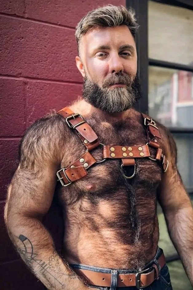Photo by Nickplus33 with the username @Nickplus33, who is a verified user,  August 27, 2023 at 4:34 AM and the text says '#bear #dilf #beard #leather #harness #teddy'