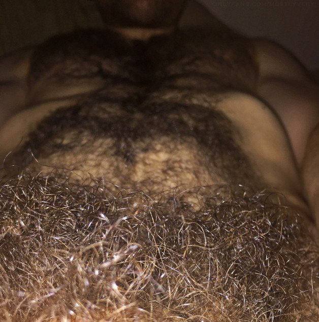 Photo by Nickplus33 with the username @Nickplus33, who is a verified user,  April 16, 2024 at 2:45 AM and the text says '#thickbush #hairy #toned #hairychest'