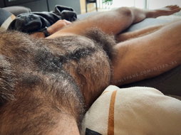 Photo by Nickplus33 with the username @Nickplus33, who is a verified user,  May 2, 2024 at 3:20 AM and the text says '#beefy #hairy #daddy #dilf #thickbush'