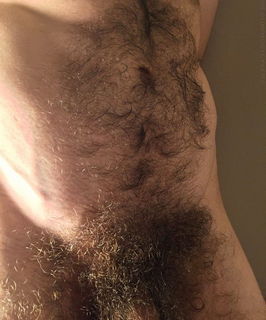 Photo by Nickplus33 with the username @Nickplus33, who is a verified user,  May 16, 2024 at 2:07 AM and the text says '#hairy #thickbush #bush'