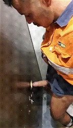 Photo by Nickplus33 with the username @Nickplus33, who is a verified user,  May 22, 2024 at 1:39 AM and the text says '#stall #wc #cruising #otter  #tradie #gloryhole #gif'