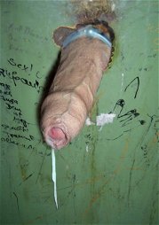 Photo by Nickplus33 with the username @Nickplus33, who is a verified user,  May 16, 2024 at 3:30 AM and the text says '#gloryhole #hung #veiny #uncut  #precum #cruising'