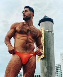 Photo by Nickplus33 with the username @Nickplus33, who is a verified user,  October 15, 2023 at 4:04 AM and the text says '#muscled #hairy #speedos #beard #scruff #bulge'