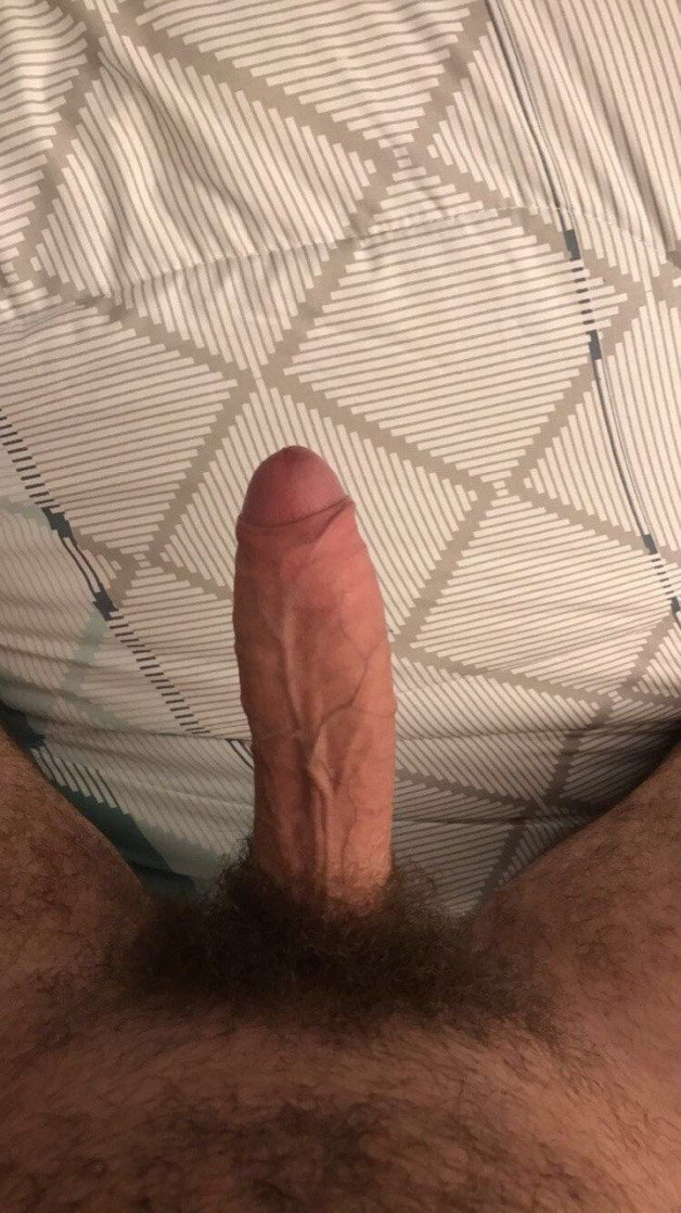 Photo by Nickplus33 with the username @Nickplus33, who is a verified user,  August 25, 2023 at 7:50 AM and the text says '#hung #thickdick #bush #veiny #uncut'