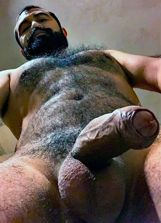 Photo by Nickplus33 with the username @Nickplus33, who is a verified user,  March 25, 2024 at 3:56 AM and the text says '#beard #hairy #beefy #hung #massivecock #uncut  #vintage #bear #dilf'
