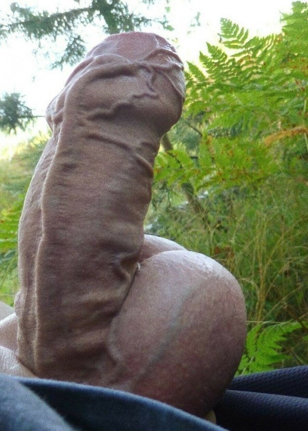 Photo by Nickplus33 with the username @Nickplus33, who is a verified user,  December 4, 2023 at 3:03 AM and the text says '#hung #thickdick #veiny #uncut #balls #fatcock #outdoors'