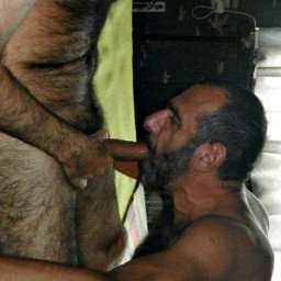 Photo by Nickplus33 with the username @Nickplus33, who is a verified user,  May 15, 2024 at 3:55 AM and the text says '#cocksucking #BJ #daddy #beard #hairy #bear #DL'