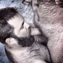 Photo by Nickplus33 with the username @Nickplus33, who is a verified user,  January 18, 2024 at 7:29 AM and the text says '#hairy #beard #thickdick #bear #bush'