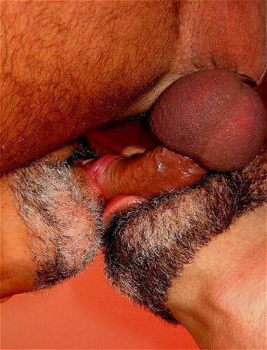 Photo by Nickplus33 with the username @Nickplus33, who is a verified user,  February 25, 2024 at 3:56 AM and the text says '#dualsuck #cocksucking #beard #daddy #dilf #balls #threesome'