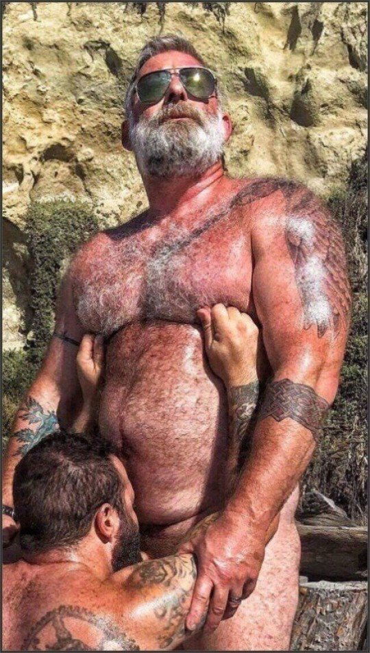 Photo by Nickplus33 with the username @Nickplus33, who is a verified user,  April 26, 2024 at 2:10 AM and the text says '#hairy #beard #dilf #shades #daddy #beefy #ink #outdoors #outdoorcruising #cocksucking #BJ'