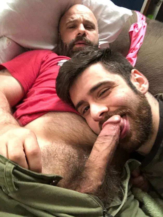 Photo by Nickplus33 with the username @Nickplus33, who is a verified user,  May 17, 2024 at 2:35 AM and the text says '#beard #daddy #bald #cocksucking #BJ #thickbush #otter  #tongue'