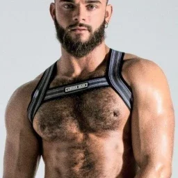 Photo by Nickplus33 with the username @Nickplus33, who is a verified user,  April 8, 2024 at 1:51 AM and the text says '#youngdilf #beard #harness #muscled #hairychest'