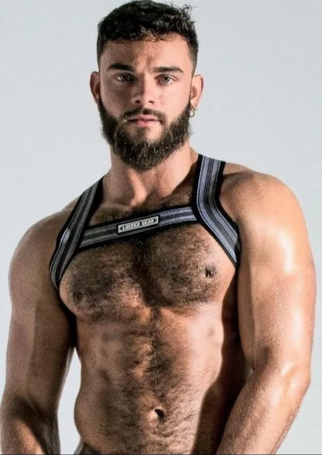 Photo by Nickplus33 with the username @Nickplus33, who is a verified user,  April 8, 2024 at 1:51 AM and the text says '#youngdilf #beard #harness #muscled #hairychest'