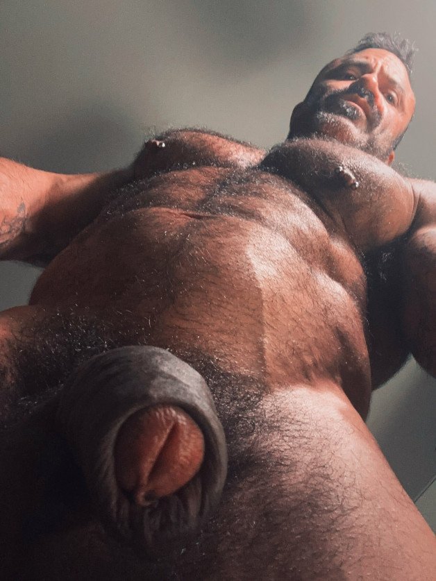 Photo by Nickplus33 with the username @Nickplus33, who is a verified user,  December 19, 2023 at 4:15 AM and the text says '#daddy #hairy #beard #thickdick #hung #uncut #bush'