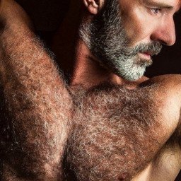 Photo by Nickplus33 with the username @Nickplus33, who is a verified user,  April 29, 2024 at 2:36 AM and the text says '#hairy #daddy #beard #toned #hairychest'